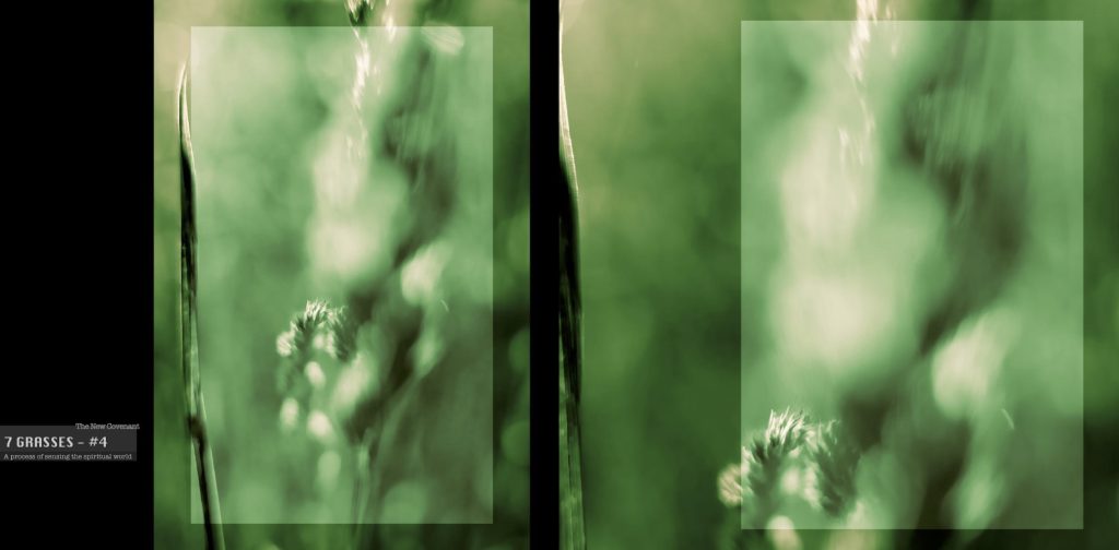 Art Book "GRASSES" - Sample - 08