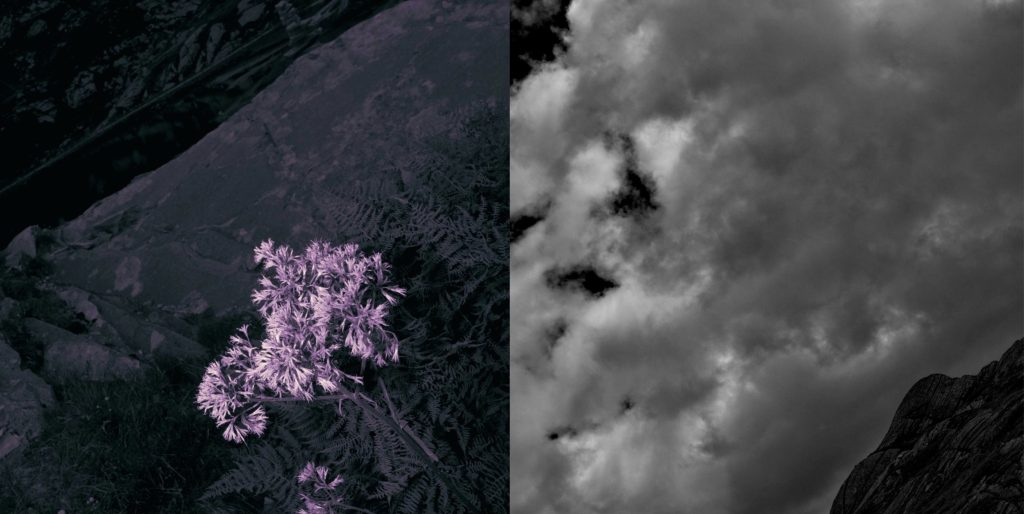 Art Book "(Building on) THE ROCK" - Sample 05