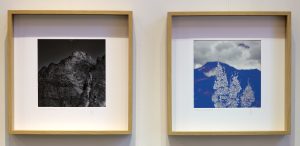 (Building on) THE ROCK # 2 | 50 cm x 50 cm (Diptych) | 2025