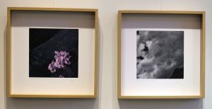 (Building on) THE ROCK # 9 | 50 cm x 50 cm (Diptych) | 2025